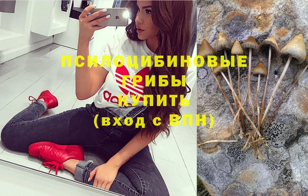 стаф Краснотурьинск