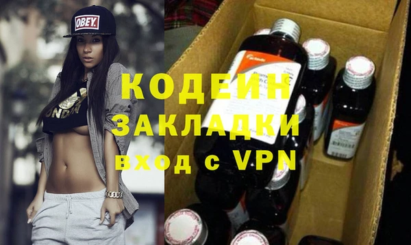молекула духа Елизово