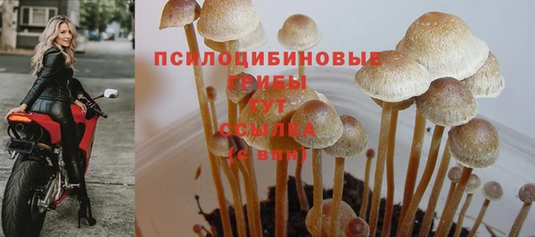 марки nbome Алексеевка
