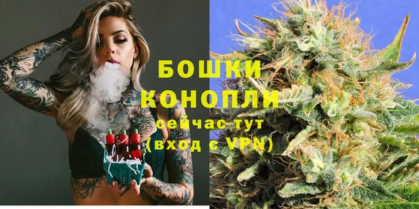 стаф Ельня