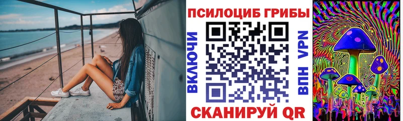 OMG как войти  Кимры  Псилоцибиновые грибы ЛСД 